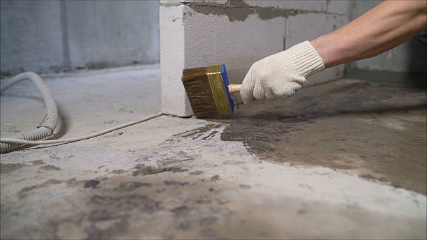 SJ Waterproofing Pros Waterproofing coverage map for Rochester, MI and surrounding area